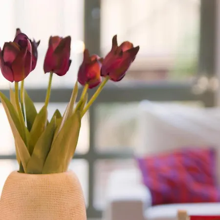 Letsgobarcelona Paseo De Gracia Duplex Apartment